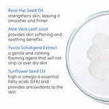 Creamy Cleanser