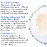 Hyaluronic Acid Overnight Mask