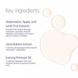 Hydrating Toner